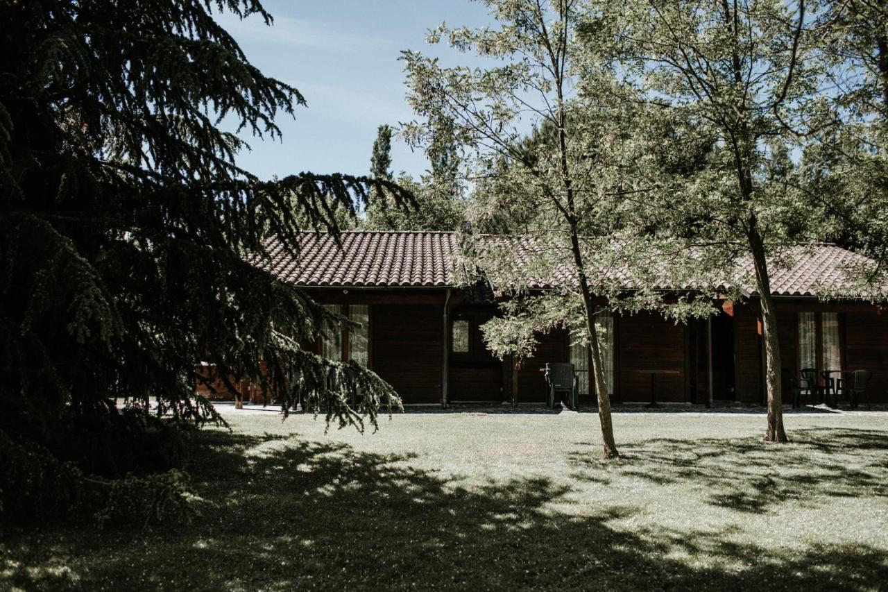 Basciano L'Anfora Country Club B&B 외부 사진